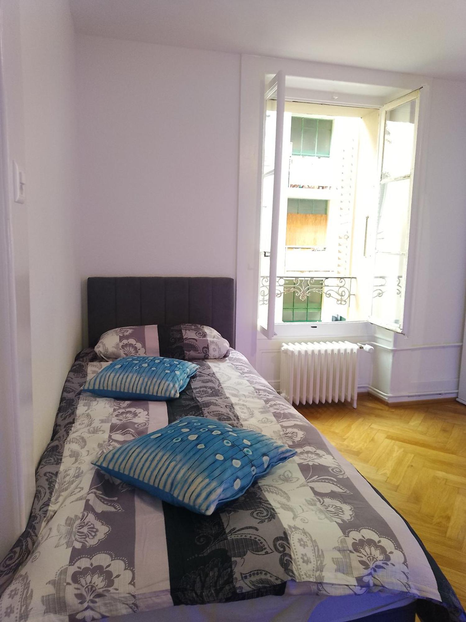 Charming Flat Center And Near The Lake Женева Экстерьер фото
